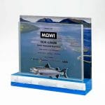 mowi