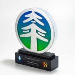 The China Taiping Award